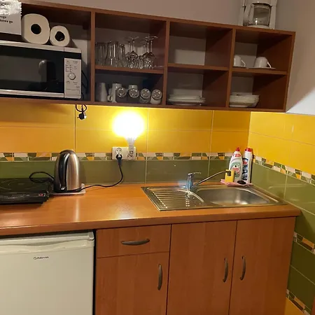 Willa Stenia Center Apartamenty Wisla