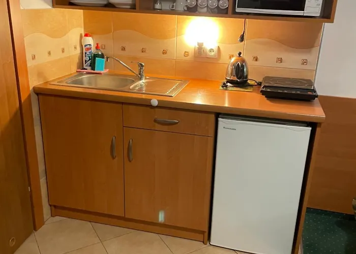 Willa Stenia Center Apartamenty