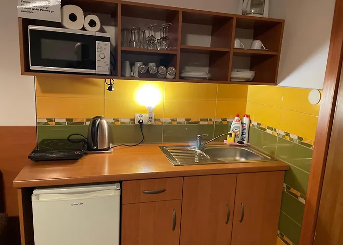 Willa Stenia Center Apartamenty Wisla